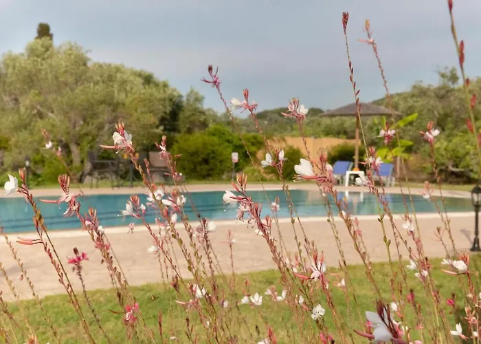Villa Adonis *