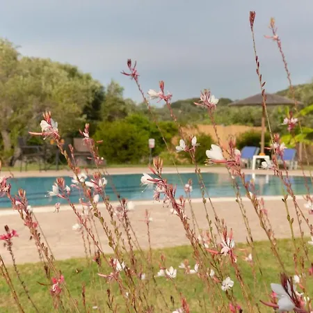 Villa Adonis *
